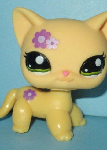 ARIYORUM - Görsel 3