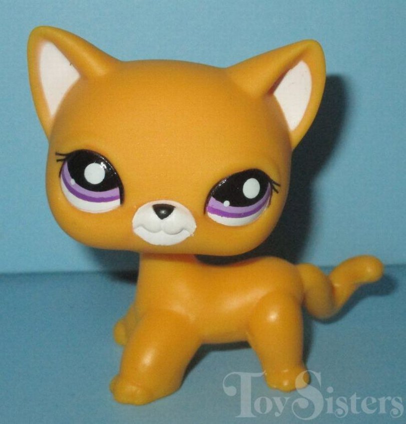 ARIYORUM - Görsel 4