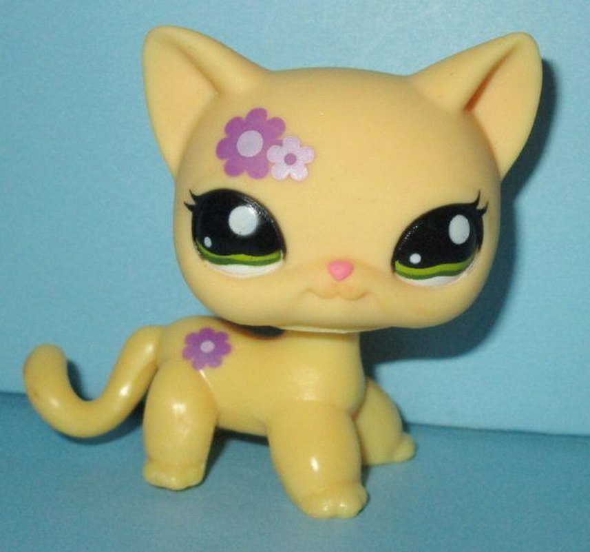 ARIYORUM - Görsel 3