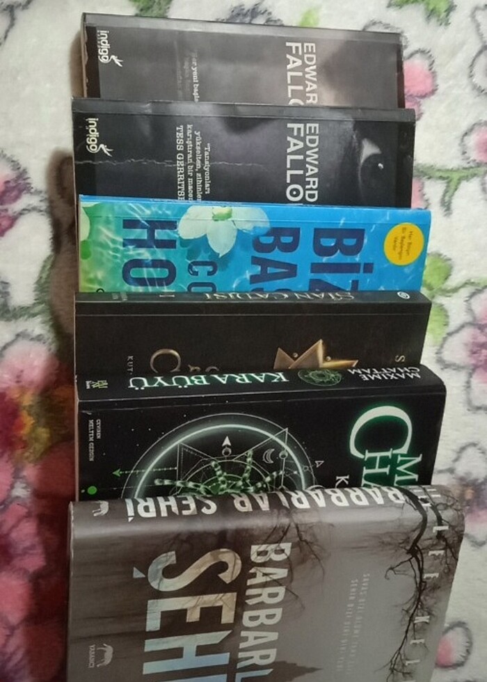 KİTAP SETİ - Görsel 2