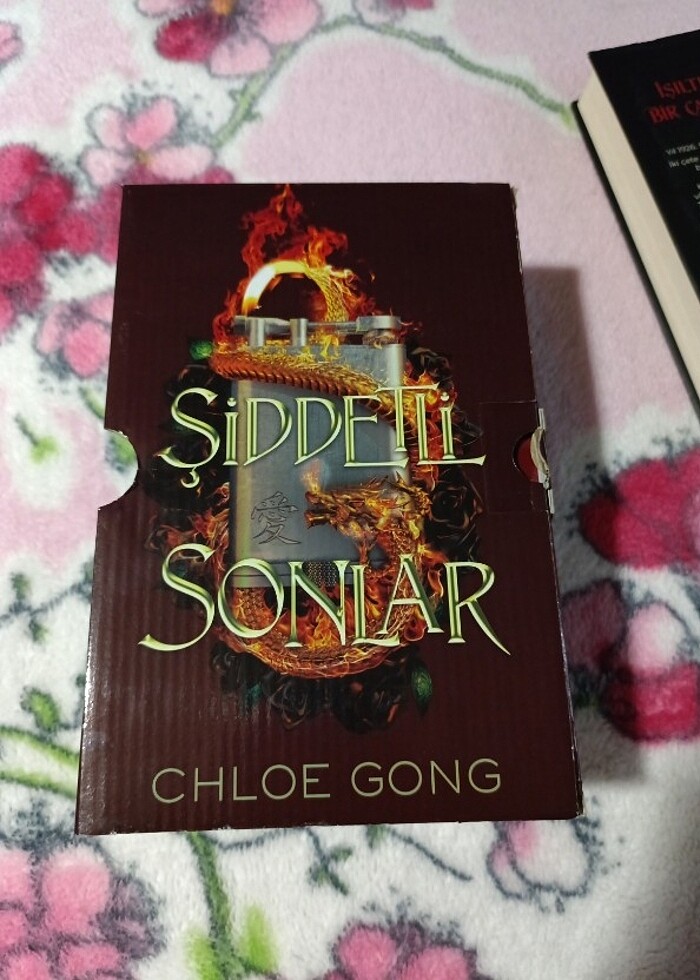 Şiddetli hazlar ve şiddetli sonlar  - Görsel 2