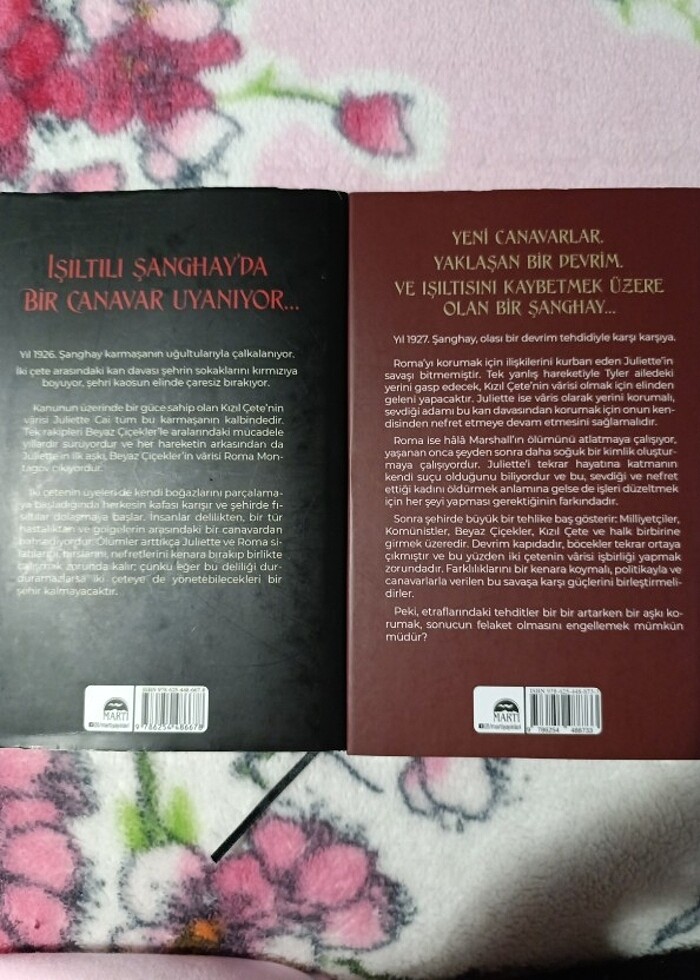 Şiddetli hazlar ve şiddetli sonlar  - Görsel 4