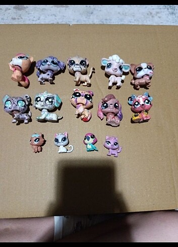 Lps minisler