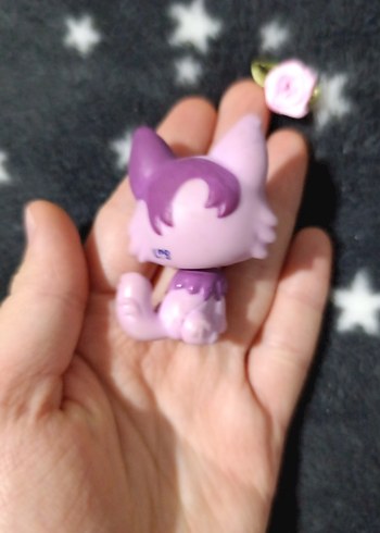 lps minisler - Görsel 2