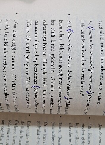 Beden Renk Yaratılış Sırrı Cemalnur SARGUT