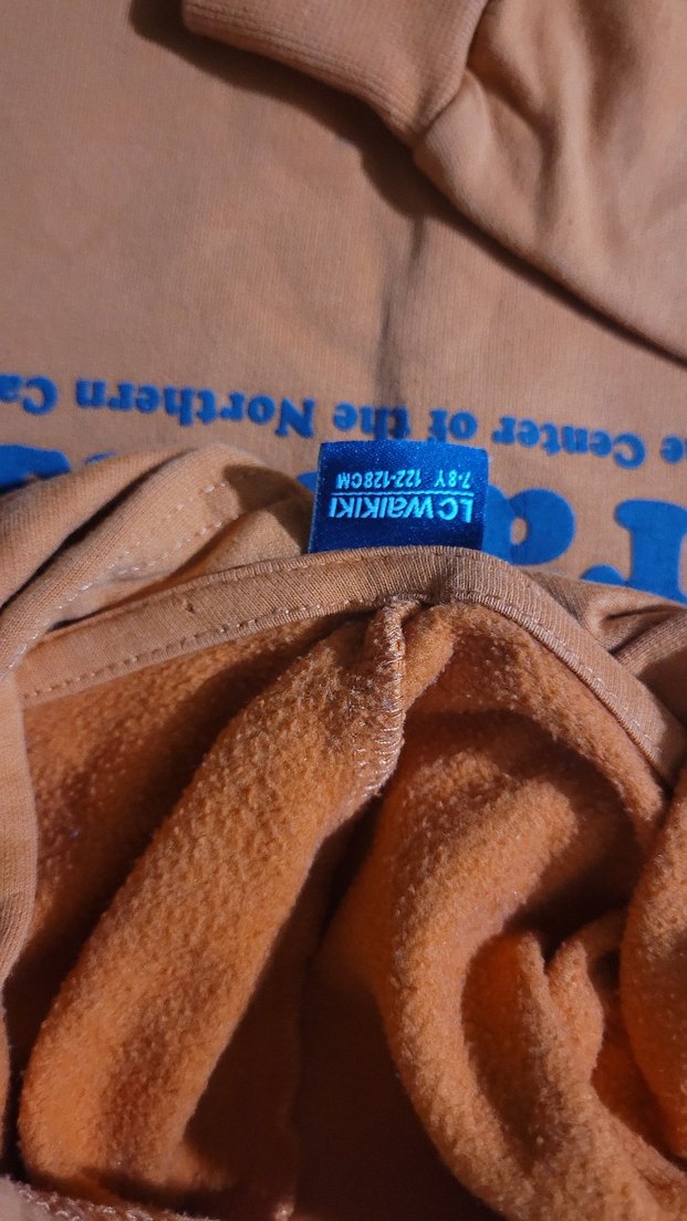 Turuncu Kapüşonlu Erkek Çocuk Sweatshirt - Görsel 3