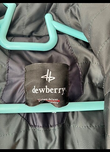 l Beden lacivert Renk DEWBERRY ERKEK MONT