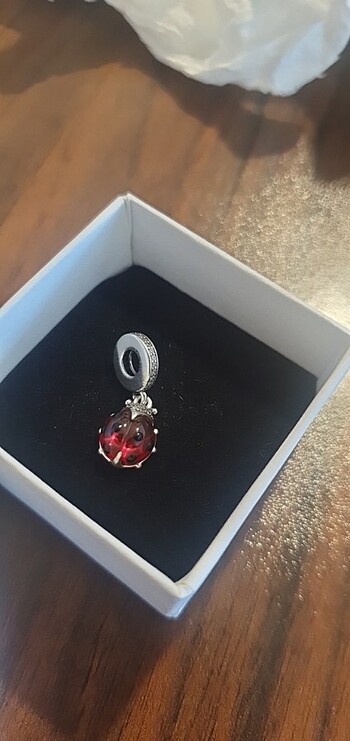 Uğur böceği charm