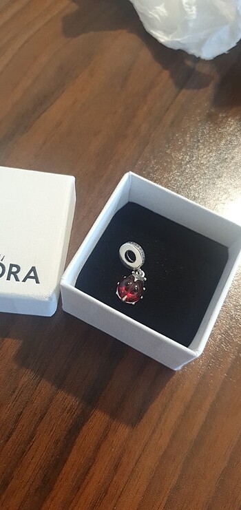  Beden Uğur böceği charm