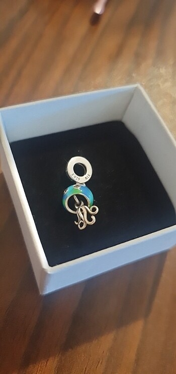 Denizanasi charm