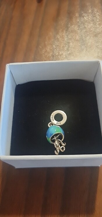  Beden Denizanasi charm