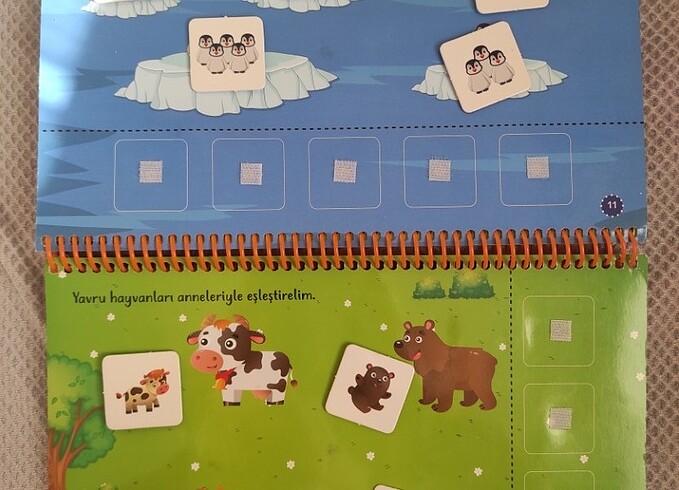Cırt cırtlı etkinlik kitabı  - Görsel 7