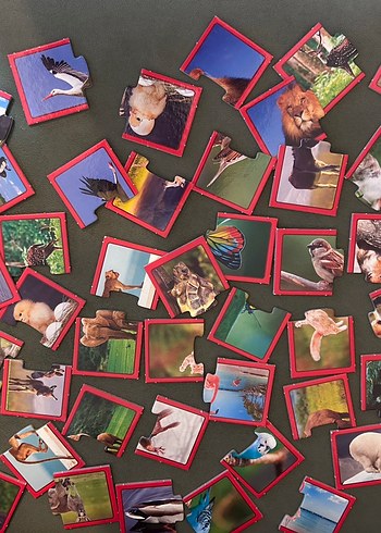 Çocuklar için Çok Renkli Hayvan Puzzle