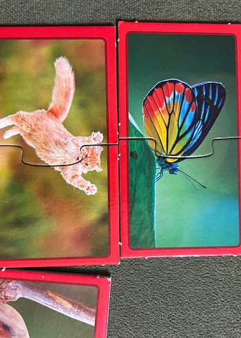 Diğer Çocuklar için Çok Renkli Hayvan Puzzle