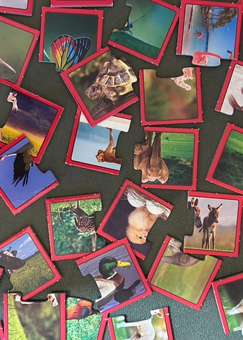  Beden Renk Çocuklar için Çok Renkli Hayvan Puzzle