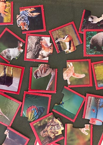  Beden Çocuklar için Çok Renkli Hayvan Puzzle