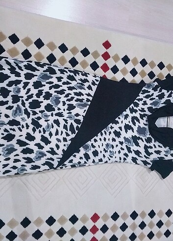 Sabra Leopar