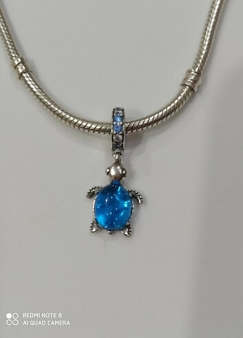 Beden Kaplumbağa charm
