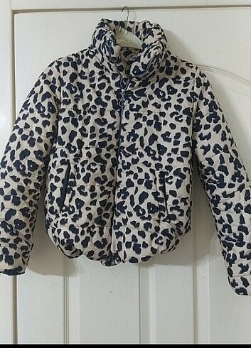 Leopar mont