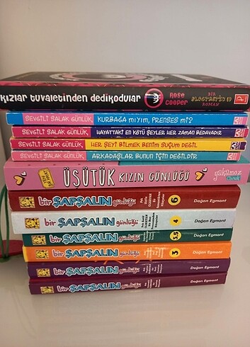 Bir Şapşalın Günlüğü, Sevgili Salak Günlük