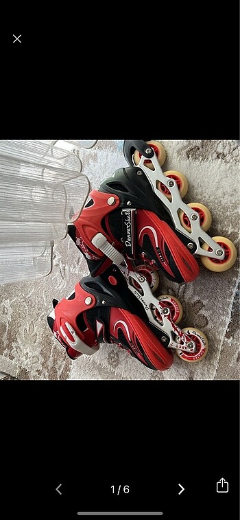 Denver Skate Shark Paten
