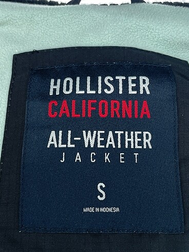 s Beden siyah Renk Hollister Mont %70 İndirimli.