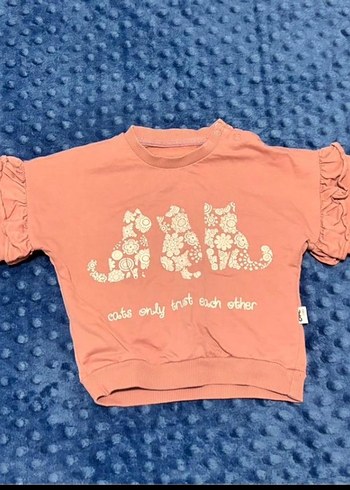 Pembe Kedi Baskılı Bebek Kız Takımı - Görsel 5