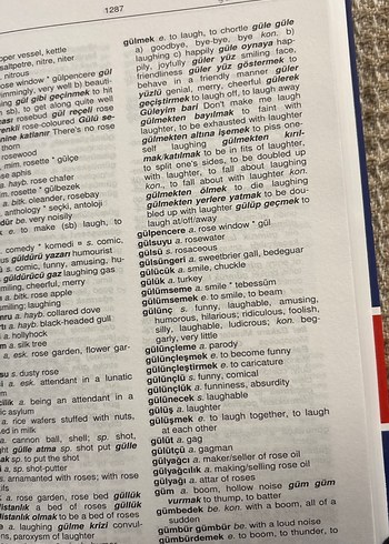 FONO İngilizce-Türkçe Büyük Sözlük CD ile - Görsel 4