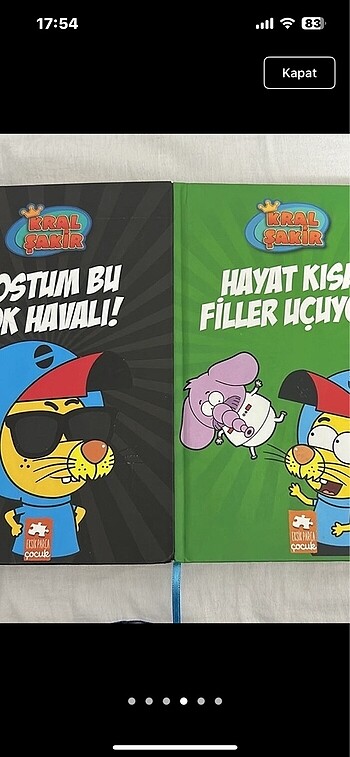  Beden Kral şakir