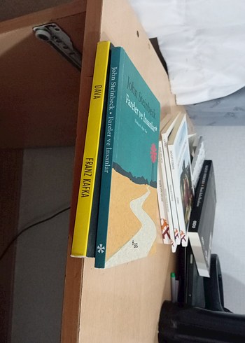Beden Renk çeşitli kitap