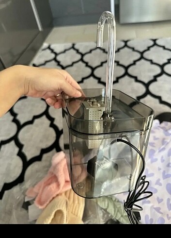 Su pınarı kedi köpek için uygundur 