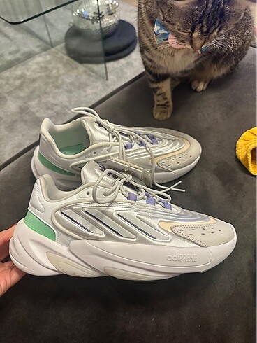 Adidas Adidas ozelia