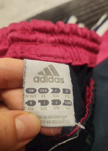 Gri Kadın Spor ve Sokak Tarzı Eşofman Altı - Görsel 6