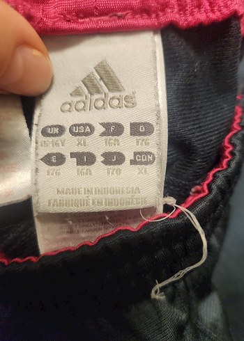 Gri Kadın Spor ve Sokak Tarzı Eşofman Altı - Görsel 5