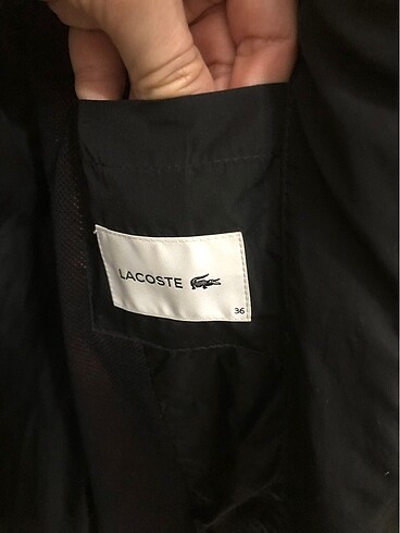 36 Beden siyah Renk Lacoste mont