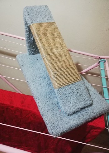 Mavi ve Gri Kedi Tırmalama Tahtası - Görsel 2