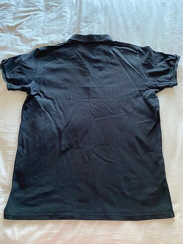 U.S Polo Assn. Bad Bear marka tişört