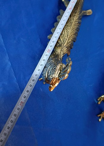 pirinç sülün - Görsel 3