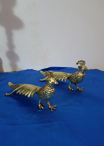 pirinç sülün - Görsel 4