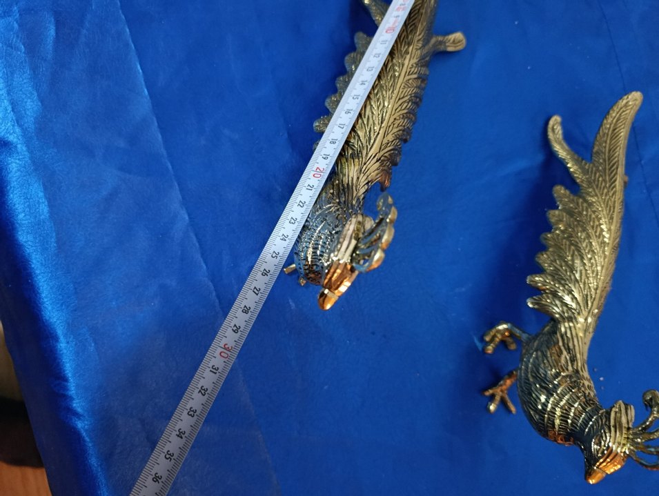 pirinç sülün - Görsel 3