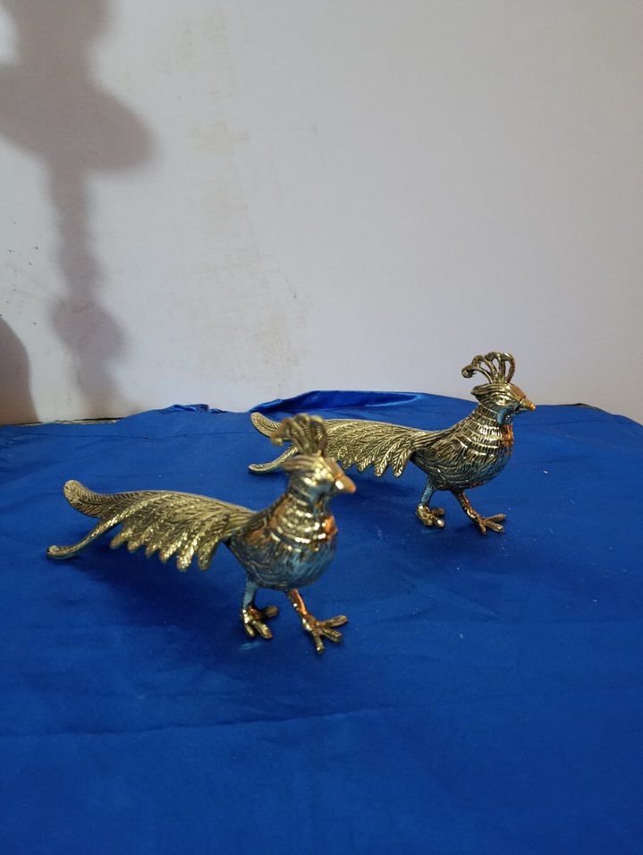 pirinç sülün - Görsel 4