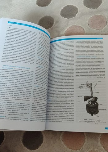 Hemşirelik Esasları 2 - Kavramlar ve Beceriler - Görsel 3