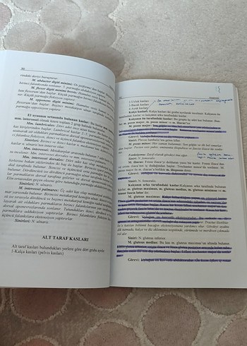 Anatomi Kitabı Kıvılcım Yayınları Yeni Baskı - Görsel 3