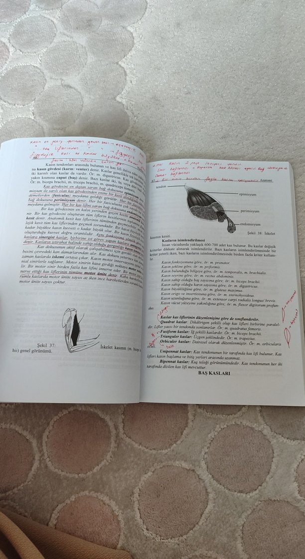 Anatomi Kitabı Kıvılcım Yayınları Yeni Baskı - Görsel 4