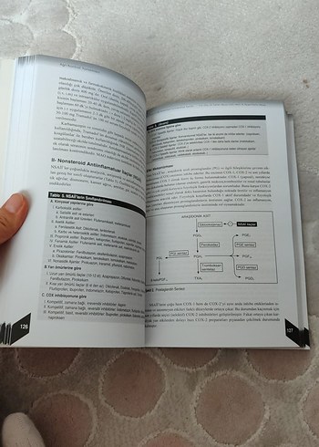 Ağrı Doğası ve Kontrolü Kitabı - Görsel 3