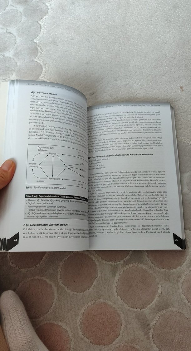 Ağrı Doğası ve Kontrolü Kitabı - Görsel 4