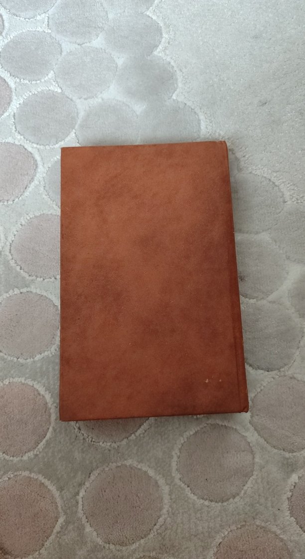 Safahat - Mehmet Akif Ersoy - Görsel 3