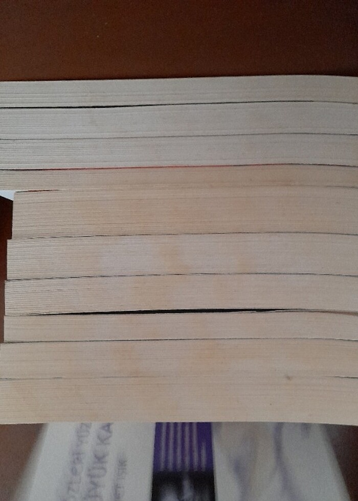 Roman Seti  - Görsel 4