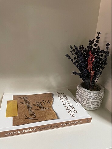  Kitap