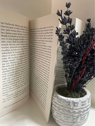  Kitap